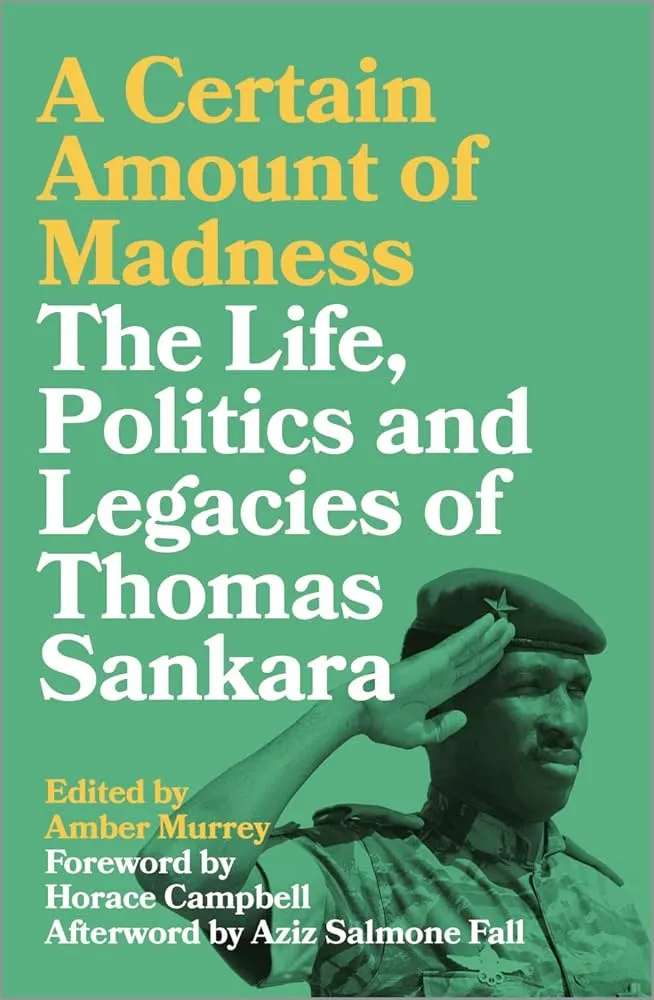 A Certain Amount of Madness: The Life, Politics and Legacies of Thomas Sankara Book