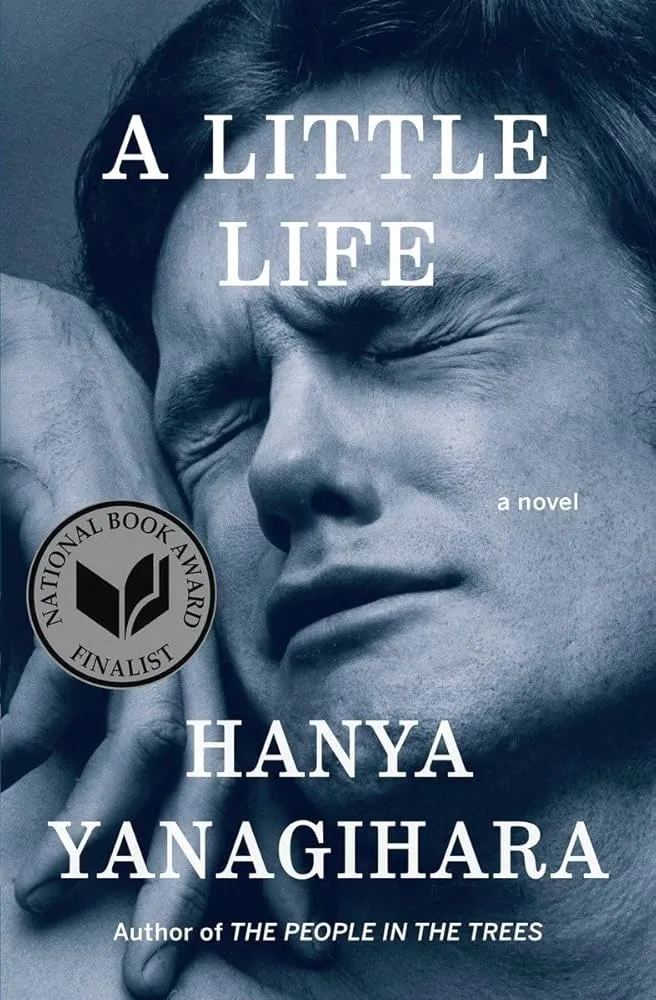 A Little Life Novel by Hanya Yanagihara